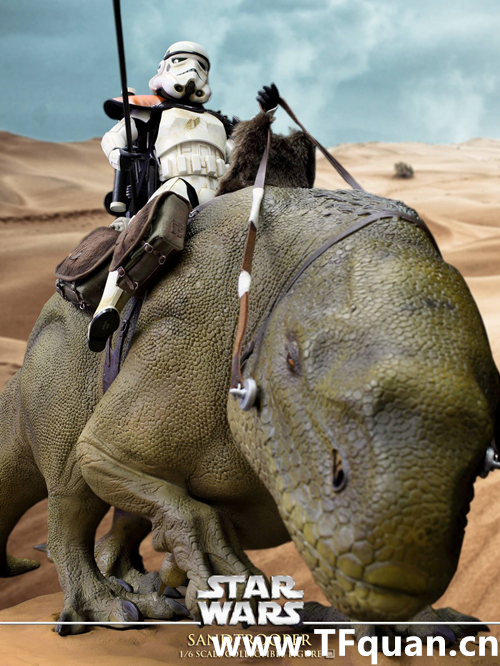 Hottoys 《星球大戰4-新希望》 帝國沙兵 小隊長 Sandtrooper